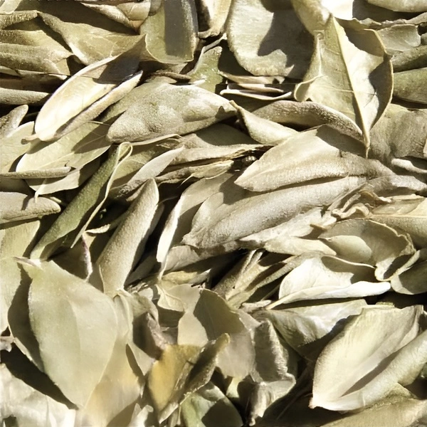 Boldo en hojas por Gramos – Infusión Desintoxicante estomacal