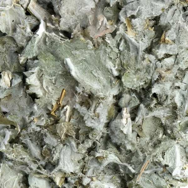 Hojas de Alcachofa para Infusiones – Desintoxicante hepático Detox